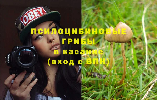 гашик Алзамай