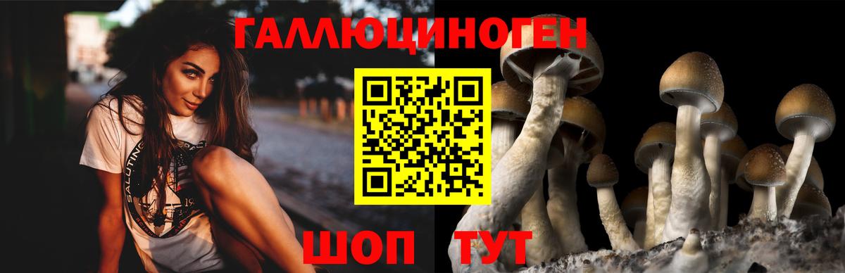 Псилоцибиновые грибы ЛСД  Галлюциногенные грибы GOLDEN TEACHER  Вход с VPN  Феодосия 